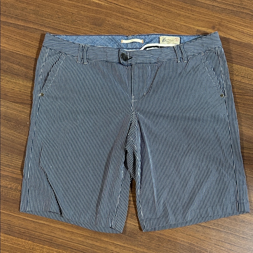 Limited Edition Women’s Blue and White Striped Shorts
